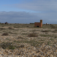 Buy canvas prints of Dungeness. An Oddity. by Mark Ward