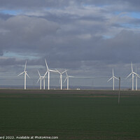 Buy canvas prints of Harnessing the Wind. by Mark Ward