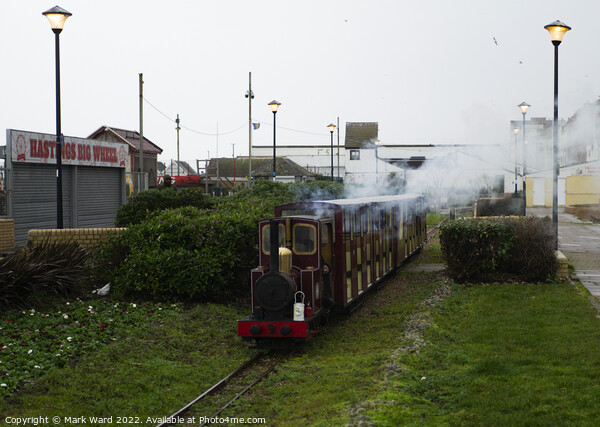 Hastings Miniature Railway Picture Board by Mark Ward