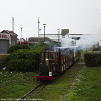 Buy canvas prints of Hastings Miniature Railway by Mark Ward