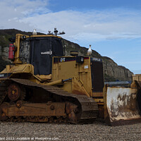 Buy canvas prints of Caterpillar on the Beach. by Mark Ward