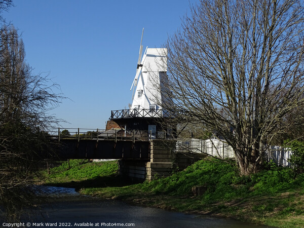 Rye Windmill on the River Tillingham Picture Board by Mark Ward