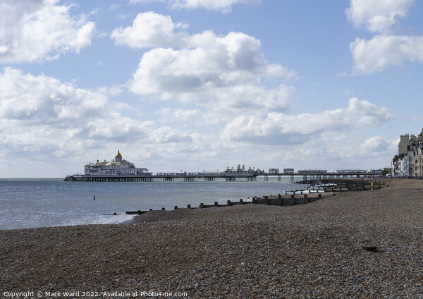 Eastbourne Pier in March Picture Board by Mark Ward