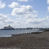 Buy canvas prints of Eastbourne Pier in March by Mark Ward