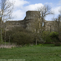 Buy canvas prints of Pevensey Castle in East Sussex. by Mark Ward