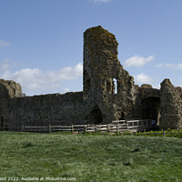Buy canvas prints of The Castle at Pevensey. by Mark Ward