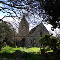 Buy canvas prints of St Nicolas Church in Pevensey. by Mark Ward