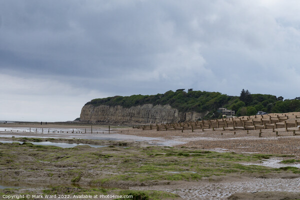 The Cliffs at Pett Level. Picture Board by Mark Ward