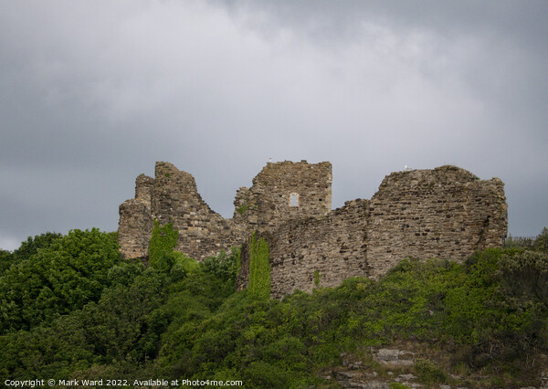 Hastings Castle on a cloudy May day. Picture Board by Mark Ward