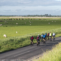 Buy canvas prints of Cycling through Pett Level. by Mark Ward