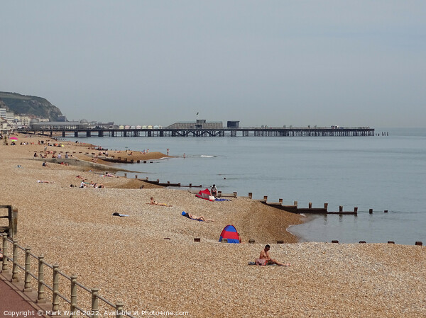 Hastings Beach on a Hazy Lazy Day in June. Picture Board by Mark Ward