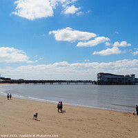 Buy canvas prints of The pier at Weston-super-Mare. by Mark Ward