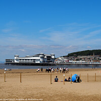 Buy canvas prints of Fun in the Sun in Somerset. by Mark Ward