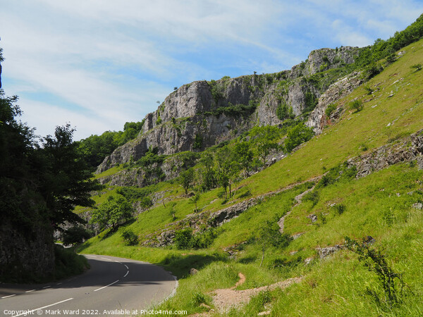 Passing through Cheddar Gorge. Picture Board by Mark Ward