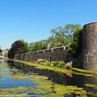 Buy canvas prints of Wells Bishops's Palace Moat. by Mark Ward