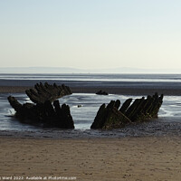 Buy canvas prints of Shipwreck in Somerset. by Mark Ward
