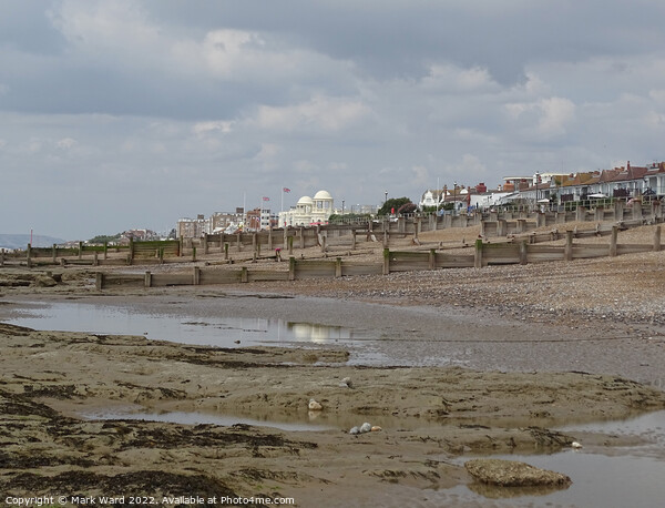 Bexhill Beach at Low Tide Picture Board by Mark Ward