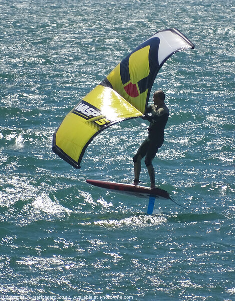 Foiling Around in the Sea.  Picture Board by Mark Ward