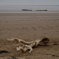 Buy canvas prints of Timber Tide and Time. by Mark Ward