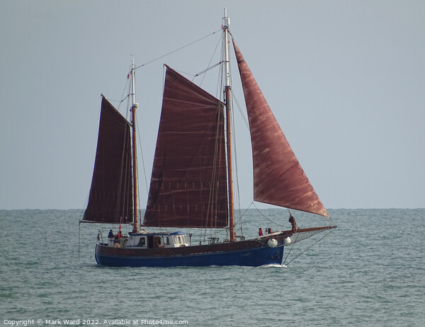 Sailboat passing Hastings. Picture Board by Mark Ward