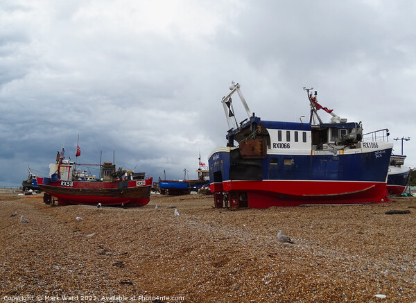 The beach based boats of Hastings. Picture Board by Mark Ward
