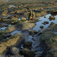 Buy canvas prints of Low Tide World by Mark Ward