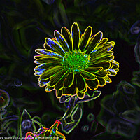 Buy canvas prints of Neon Flora by Mark Ward