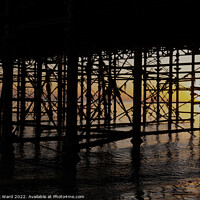 Buy canvas prints of Under The Pier. by Mark Ward