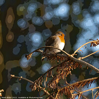 Buy canvas prints of The Christmas Robin. by Mark Ward