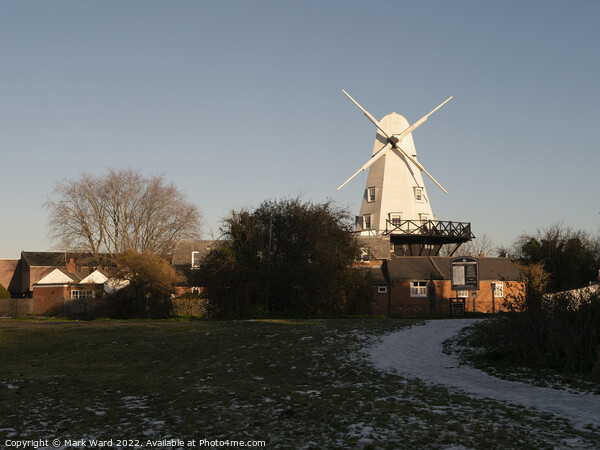 Rye Windmill in December. Picture Board by Mark Ward