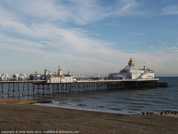 Eastbourne Pier in December Picture Board by Mark Ward