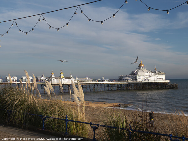 Pier from the Prom. Picture Board by Mark Ward