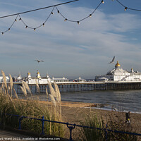 Buy canvas prints of Pier from the Prom. by Mark Ward