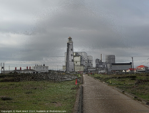 Dungeness Wrapped in Plastic. Picture Board by Mark Ward