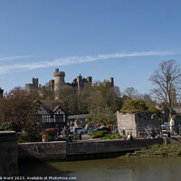 Buy canvas prints of Arundel Castle from the River Arun. by Mark Ward
