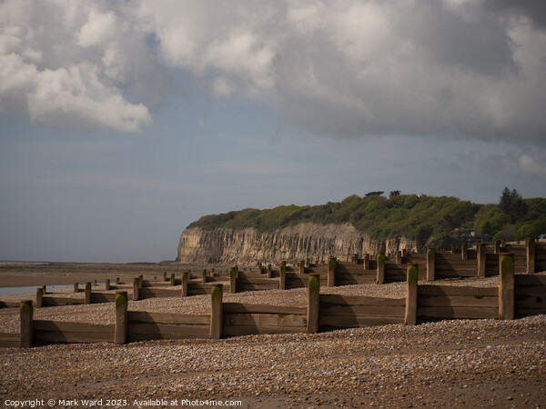 Pett Level at Low Tide Picture Board by Mark Ward