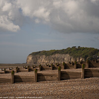 Buy canvas prints of Pett Level at Low Tide by Mark Ward