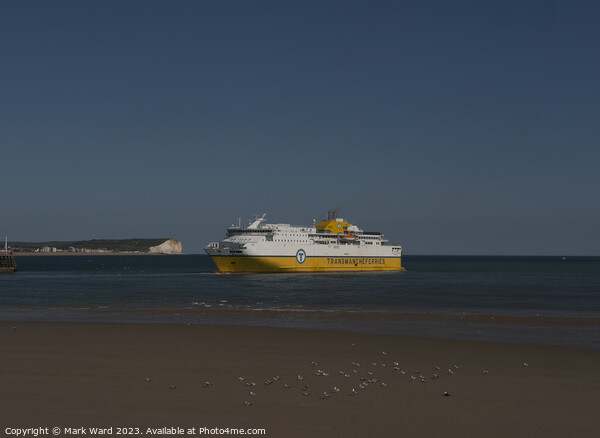 Ferry from Dieppe to Newhaven. Picture Board by Mark Ward