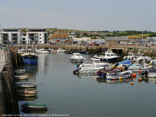 West Bay Harbour. Picture Board by Mark Ward