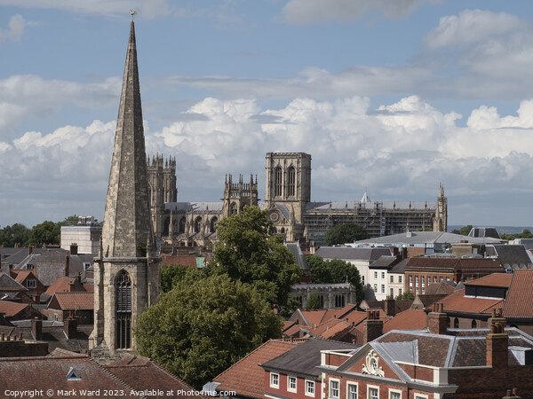 York Minster over the Rooftops. Picture Board by Mark Ward