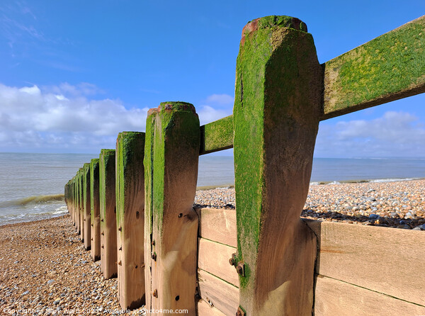 The Groyne. Picture Board by Mark Ward