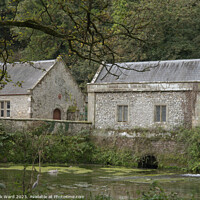 Buy canvas prints of Swanbourne Lake Mill in Arundel. by Mark Ward
