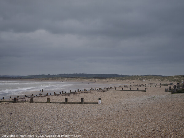 Winter at Camber Sands. Picture Board by Mark Ward