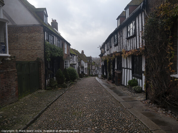 The cobbled streets of Rye. Picture Board by Mark Ward