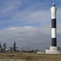 Buy canvas prints of Dungeness Landscape by Mark Ward