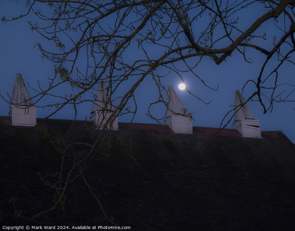 The Hop Farm by Moonlight Picture Board by Mark Ward