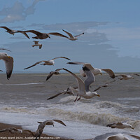 Buy canvas prints of Wings and Waves. by Mark Ward