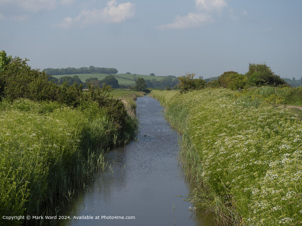 Peaceful Waterway Sky Landscape Picture Board by Mark Ward