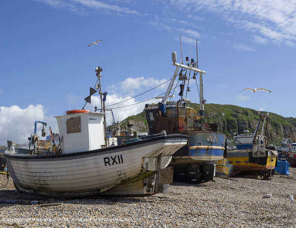 Stade Beach Fishing Boats Picture Board by Mark Ward