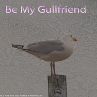 Buy canvas prints of Be My Gullfriend by Mark Ward
